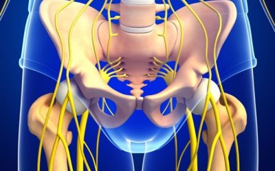 Male Pelvic Pain From Pudendal Nerve